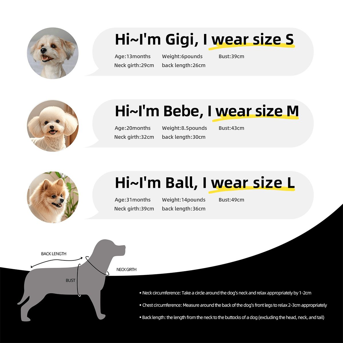Small - Large Mesh Dog Shirt