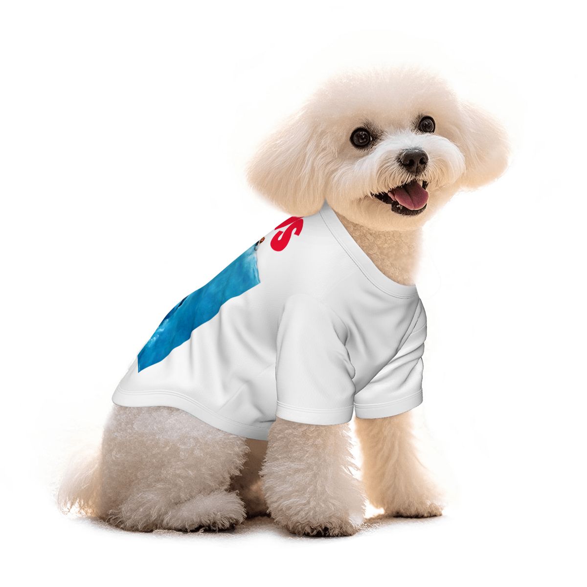 Small - Large Mesh Dog Shirt