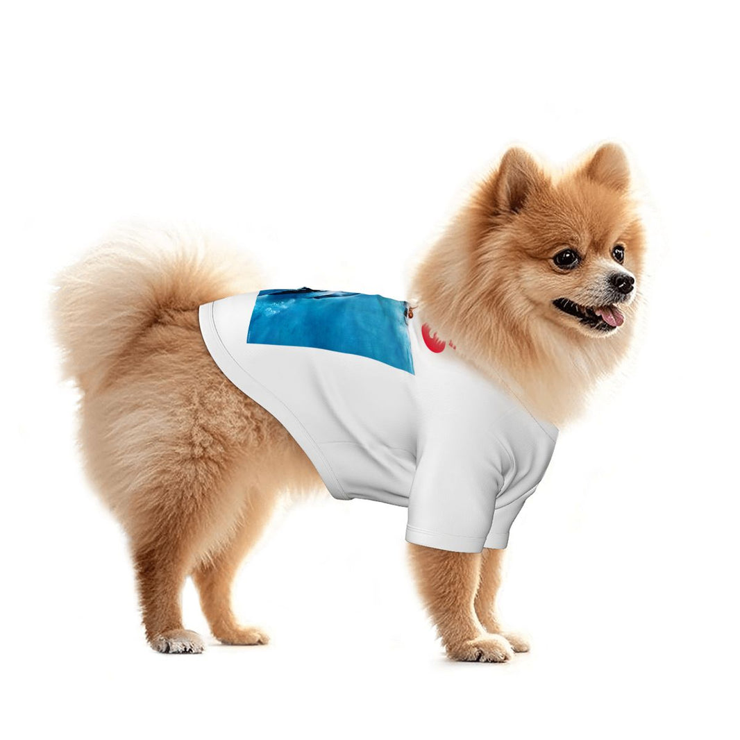 Email Thread Designs Pet Clothing – Beyond Threads Designs