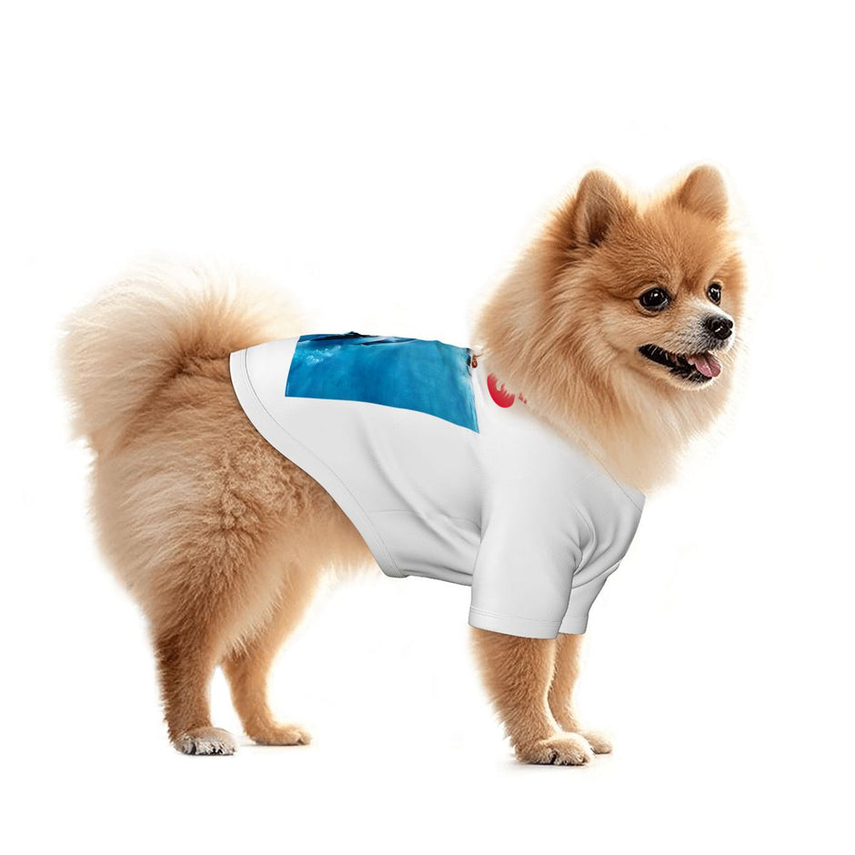 Email Thread Designs Pet Clothing – Beyond Threads Designs