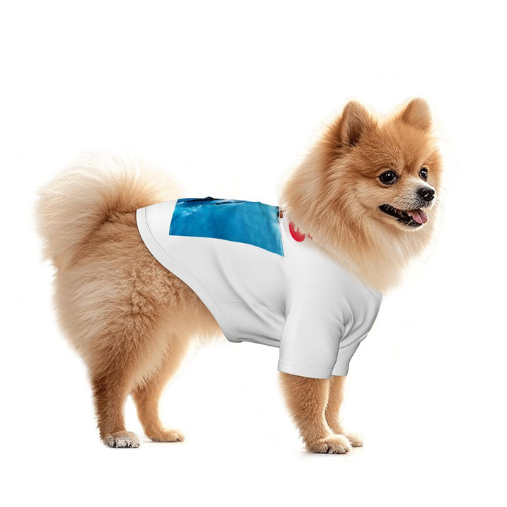 Pet Clothing – Beyond Threads Designs